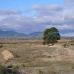Pinoso property: Alicante, Spain Land 49666
