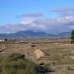 Pinoso property: bedroom Land in Alicante 49666