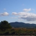 Pinoso property: Land in Alicante 49666