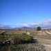 Pinoso property: Land in Pinoso 49666