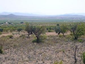 Yecla property: Land in Murcia for sale 49667