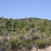 Yecla property: Yecla, Spain Land 49667