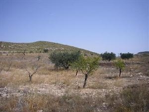 Torre Del Rico property: Land with bedroom in Torre Del Rico, Spain 49669