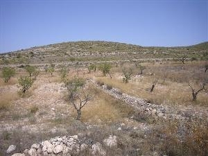 Torre Del Rico property: Land for sale in Torre Del Rico, Murcia 49669