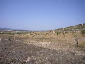 Torre Del Rico property: Murcia property | bedroom Land 49669