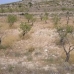 Torre Del Rico property: Land in Torre Del Rico 49669