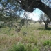 Aspe property: 6 bedroom Villa in Alicante 49673