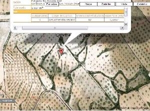 Yecla property: Land for sale in Yecla 49686