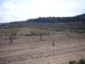 Pinoso property: Alicante property | bedroom Land 49687
