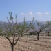 Pinoso property: bedroom Land in Pinoso, Spain 49687