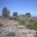 Pinoso property: Land in Pinoso 49687