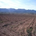 Yecla property: House in Yecla 49690