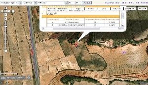 Yecla property: Land for sale in Yecla, Spain 49691