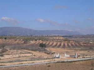 Pinoso property: Land with bedroom in Pinoso 49692