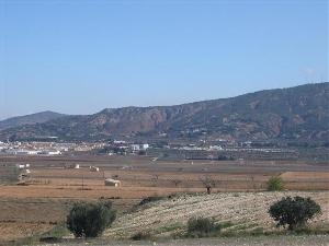 Pinoso property: Land with bedroom in Pinoso, Spain 49692