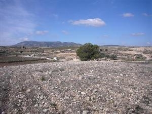 Pinoso property: Land in Alicante for sale 49692