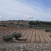 Pinoso property:  Land in Alicante 49692