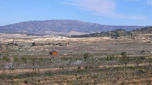 Pinoso property: Land with bedroom in Pinoso, Spain 49696