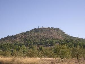 Pinoso property: Land for sale in Pinoso, Alicante 49696