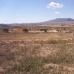 Pinoso property: Land for sale in Pinoso 49704