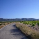 Pinoso property: Land for sale in Pinoso 49705