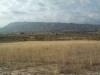 Jumilla property: Land for sale in Jumilla 49706
