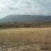 Jumilla property: Land for sale in Jumilla 49706