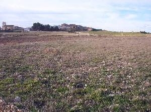 Torre Del Rico property: Land with bedroom in Torre Del Rico 49707