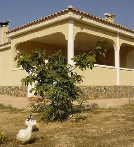 Hondon De Los Frailes property: Villa for sale in Hondon De Los Frailes, Spain 49712