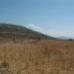 Torre Del Rico property: Land for sale in Torre Del Rico 49714