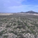Jumilla property: Land for sale in Jumilla 49721