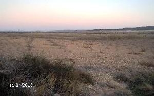 Jumilla property: Land for sale in Jumilla 49722