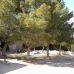 Yecla property: House in Yecla 49725