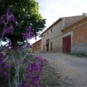 Pinoso property: House for sale in Pinoso 49726