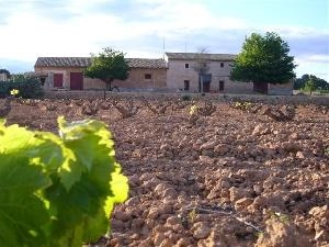 Pinoso property: House for sale in Pinoso, Spain 49726