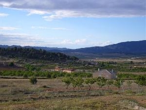 Pinoso property: House with 5 bedroom in Pinoso 49726