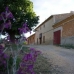 Pinoso property: Alicante, Spain House 49726
