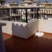 Villamartin property:  Quad in Alicante 49729