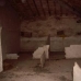 Yecla property:  House in Murcia 49736