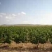 Yecla property: 5 bedroom House in Yecla, Spain 49747