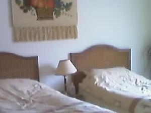 Hondon De Los Frailes property: Villa for sale in Hondon De Los Frailes, Alicante 49751