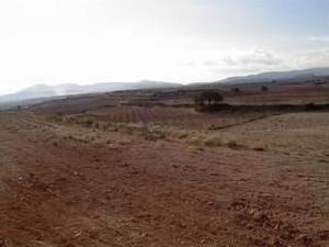 Pinoso property: Land for sale in Pinoso 49770
