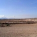 Pinoso property:  Land in Alicante 49770