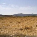 Pinoso property: Land for sale in Pinoso 49771