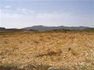 Pinoso property: Land for sale in Pinoso 49771