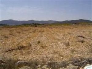 Pinoso property: Land for sale in Pinoso, Spain 49771