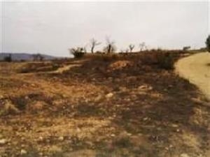 Pinoso property: Land with bedroom in Pinoso 49772