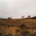 Pinoso property: Pinoso, Spain Land 49772