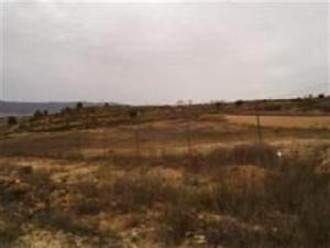 Pinoso property: Land for sale in Pinoso 49773