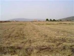 Pinoso property: Land for sale in Pinoso 49775